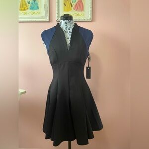 Dex dress fit and flare new with tags